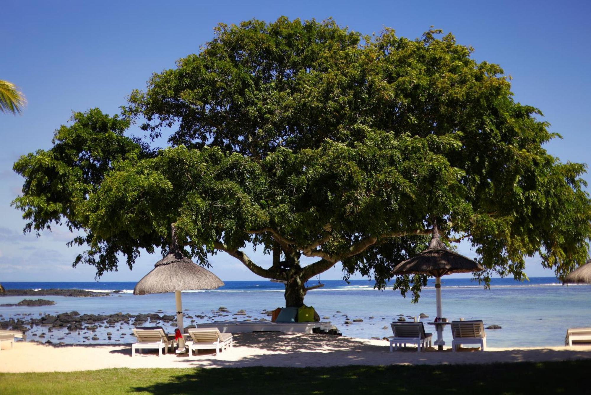 Shanti Maurice Resort & Spa Bel Ombre Bagian luar foto
